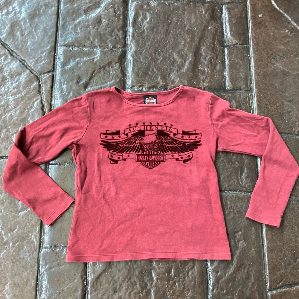 Vintage Y2K 2007 Harley Davidson Flocked Long Sleeve Shirt  Mankato Minnesota